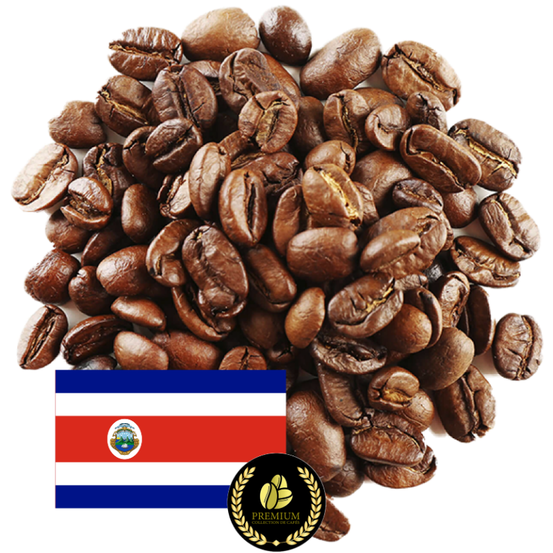 Grain & Feuille - Café Costa Rica