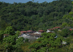 AMERIQUE CENTRALE - MEXIQUE SHG - A L'OMBRE DES INGAS