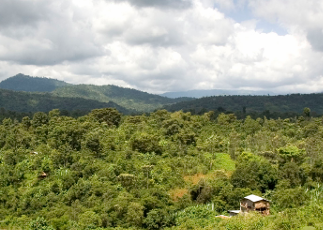 ETHIOPIE - SIDAMO