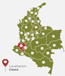 COLOMBIE EXCELSO - BIOLOGIQUE - POPAYAN - CAUCA