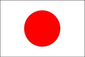 Thé vert et riz : GENMAICHA