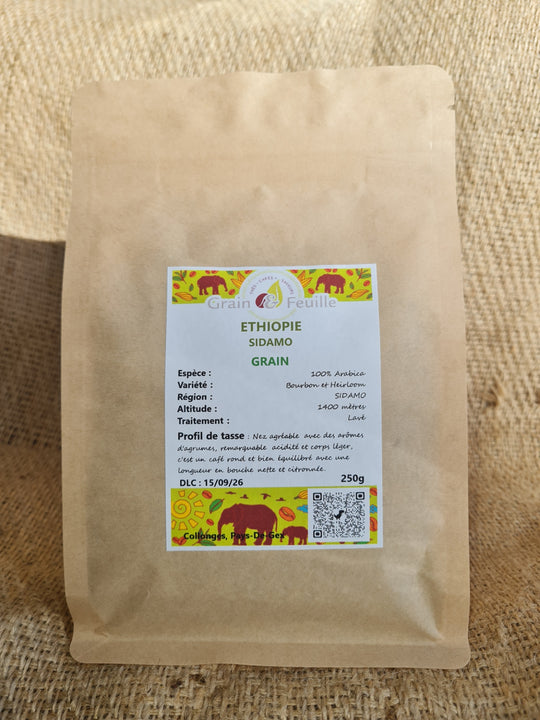 ETHIOPIE - SIDAMO BIO