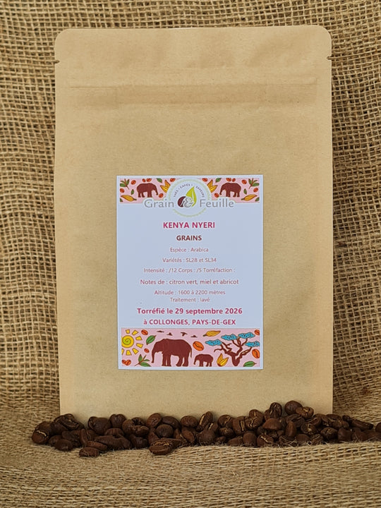 KENYA NYERI