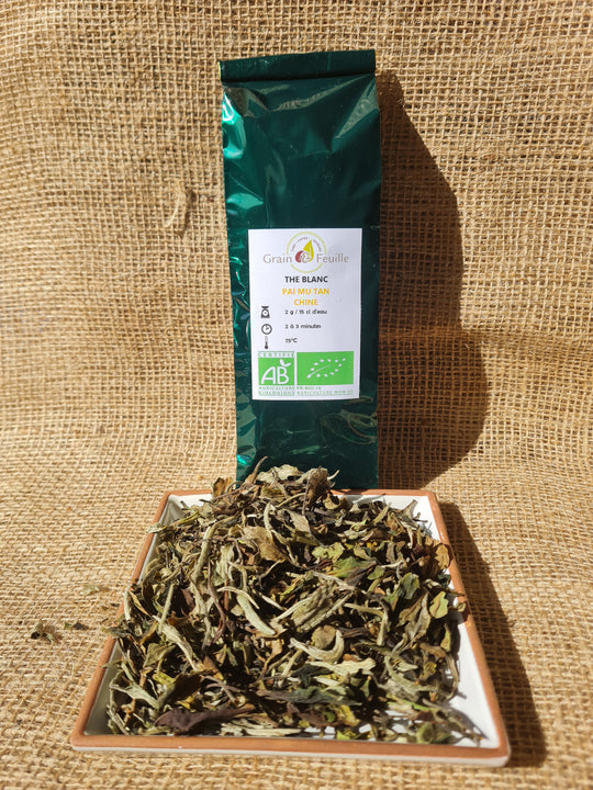 Thé blanc : PAI MU TAN de Chine (BIO)