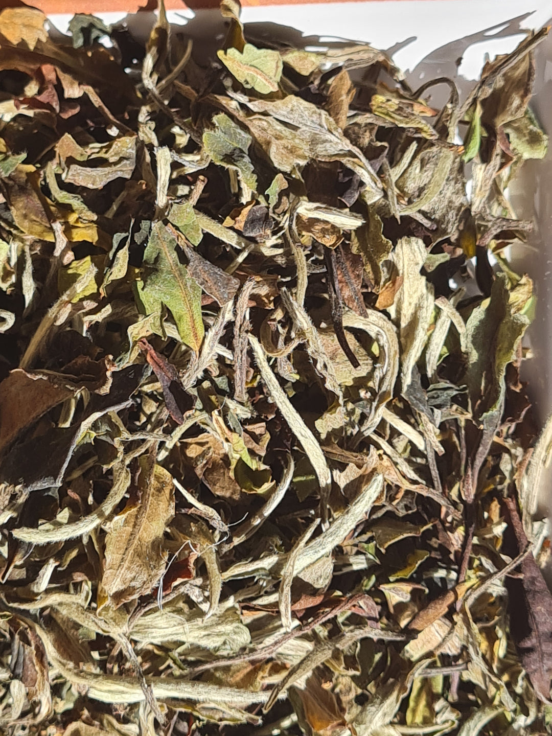 Thé blanc : PAI MU TAN de Chine (BIO)