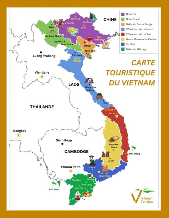 VIETNAM ROBUSTA WET POLISHED