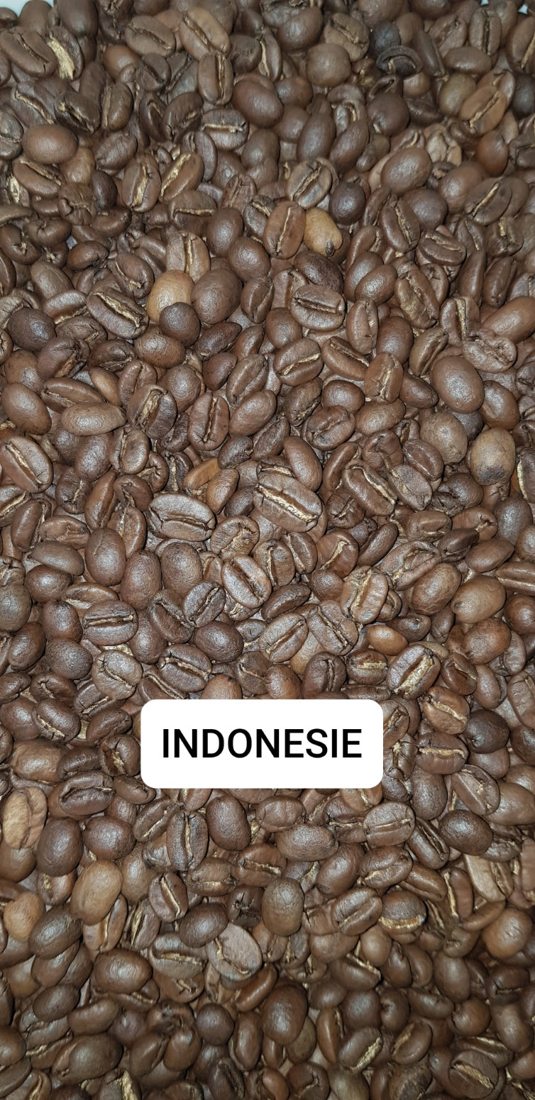 INDONESIE Argopuro Honey process