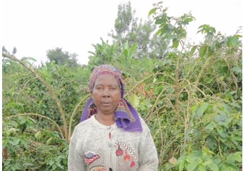 KENYA NYERI