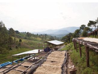 RWANDA - INZOVU