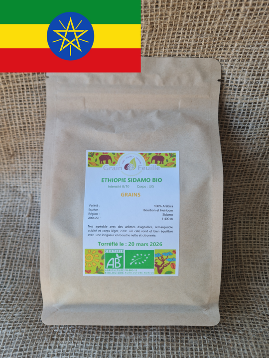 ETHIOPIE - SIDAMO BIO