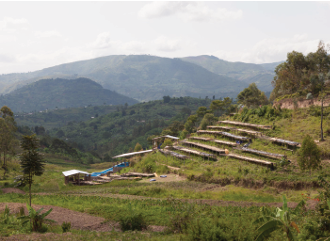 RWANDA - INZOVU