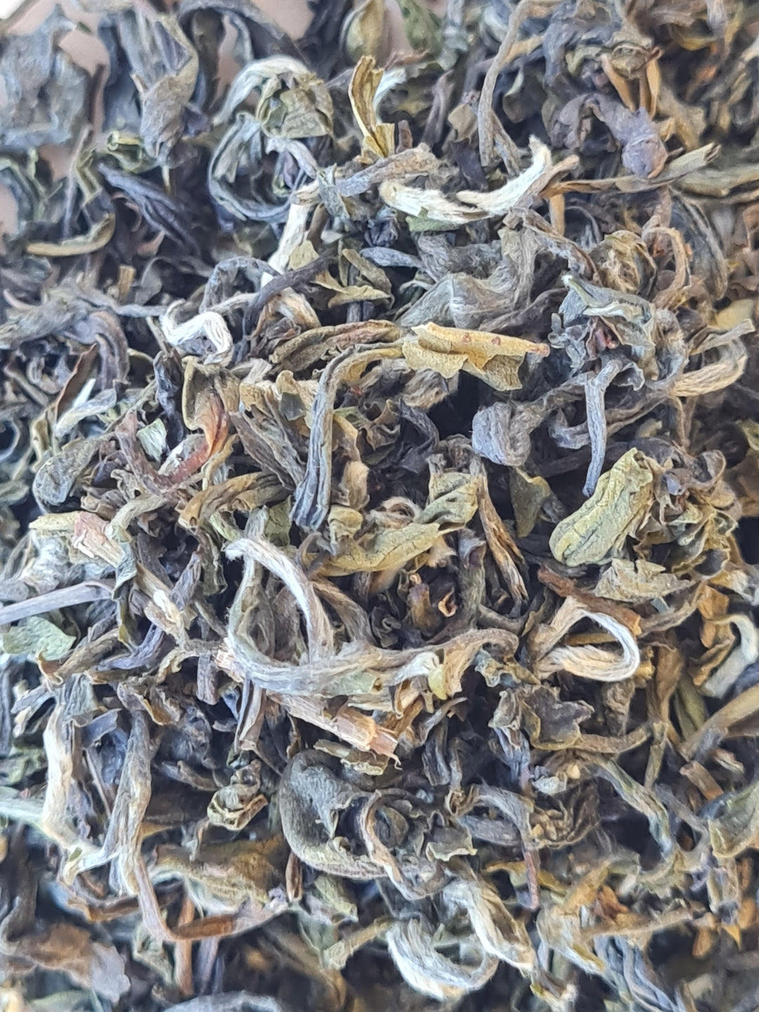 Thé vert : NEPAL GURANSE VERT- BIO