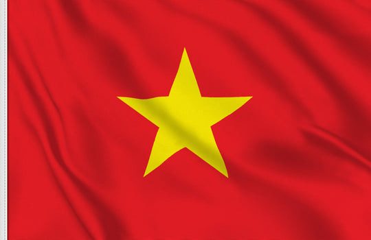VIETNAM ROBUSTA WET POLISHED