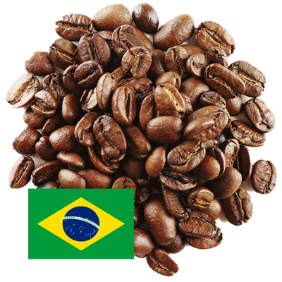 Fazenda Bela Vista - Catuai Jaune- Brésil